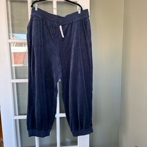 Women’s Navy J. Crew Velour Pants
